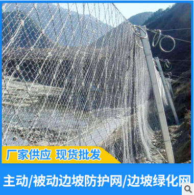 重庆厂家供应公路山体主动被动边坡钢丝绳绿化防护网柔性拦石网