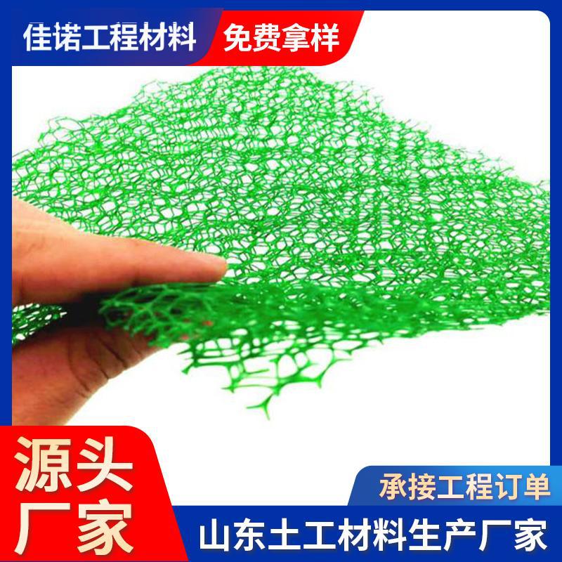 三维植被网 河道山体绿化护坡固土HDPE三维植被网