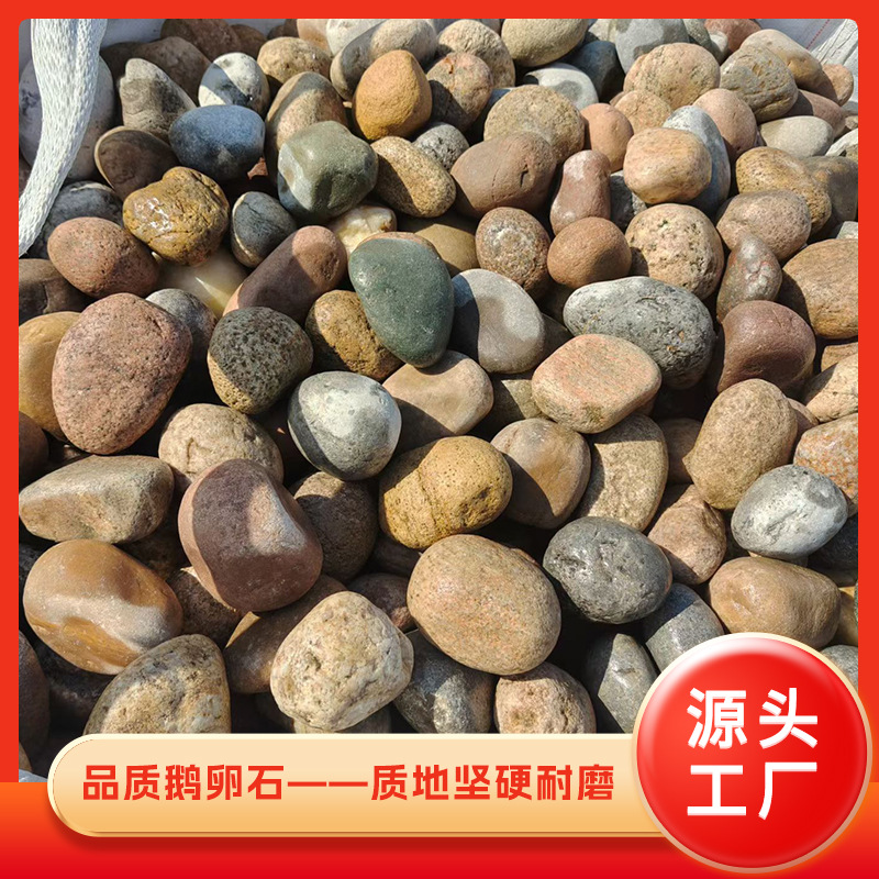 变压器鹅卵石杂色工程铺路用石头园林造景水过滤庭院装饰用河卵石