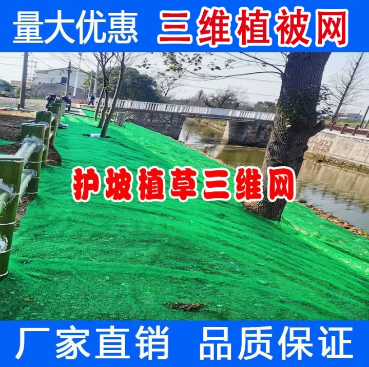 三维植被网 三维网 护坡固土网 土工网 绿化网 防尘网