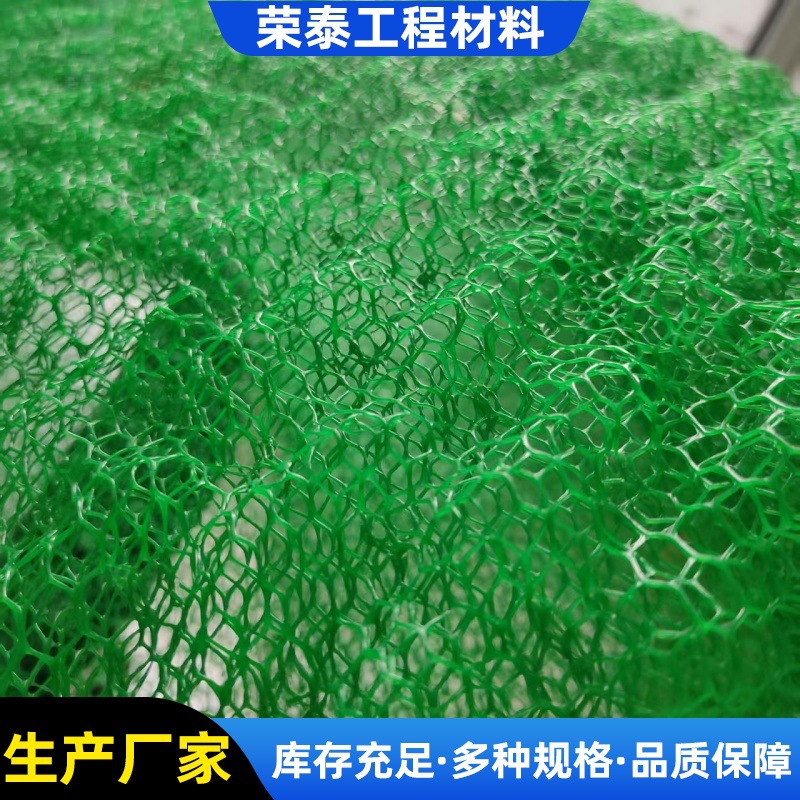 厂家直销河道固土复合三维土工网垫 护坡植草网 加筋三维植被网