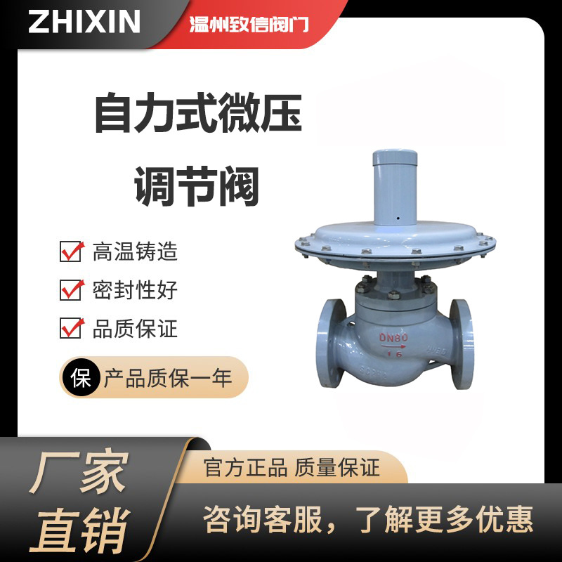 ZZVP自力式调节阀微压泄氮氨氧气体压力调节阀门铸钢碳钢DN