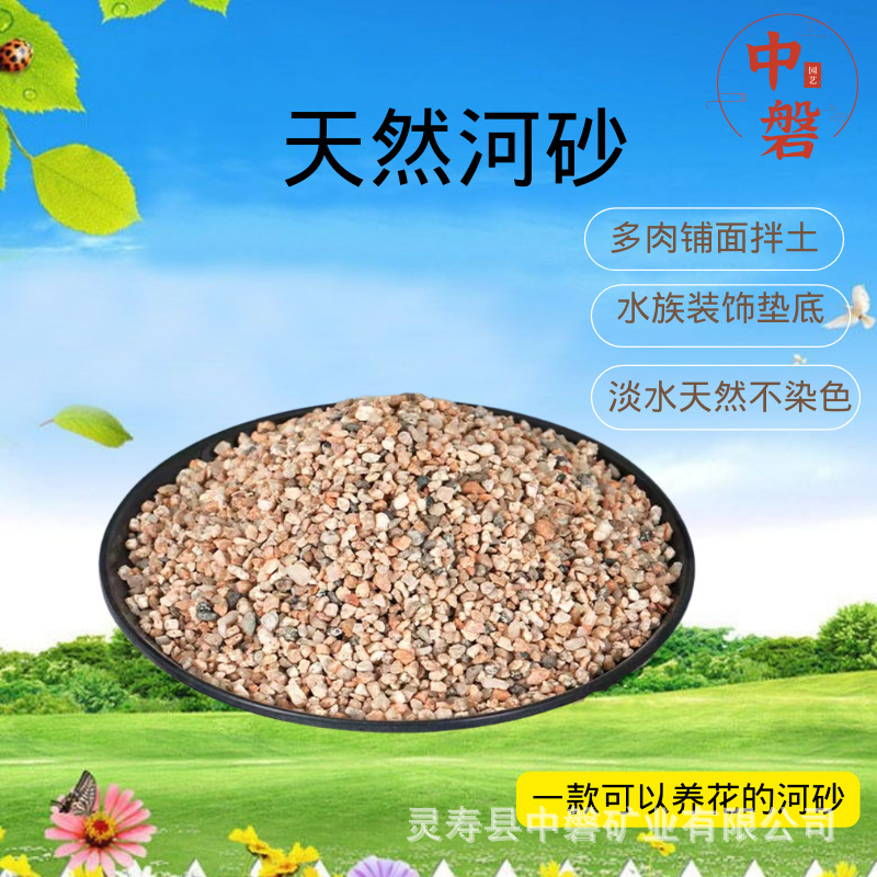 河沙粒精筛粗河砂多肉铺面石君子兰配土颗粒种植养花鱼缸造景底砂