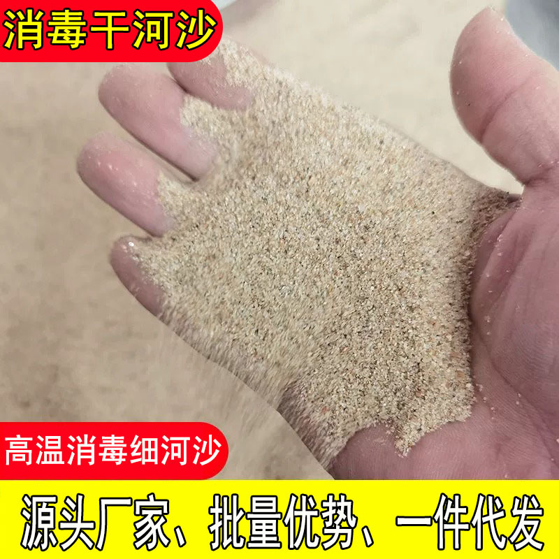 干河沙高温消毒纯天然细河沙儿童玩沙子过筛细沙插香底沙长江河沙