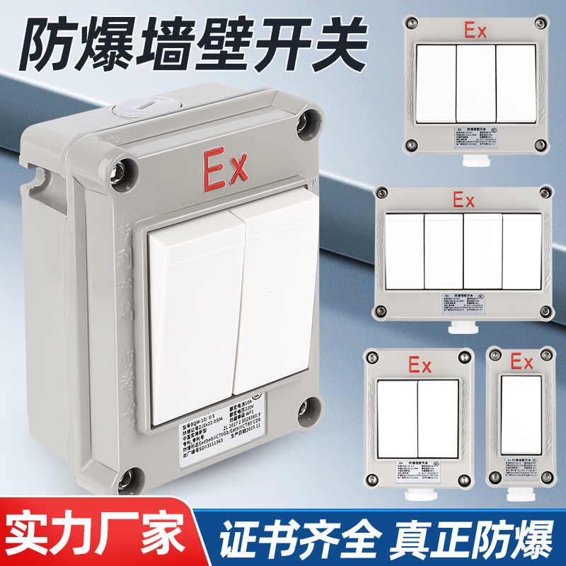 防爆墙壁开关220V380V双开旋转防爆熔断路器工业防水开关