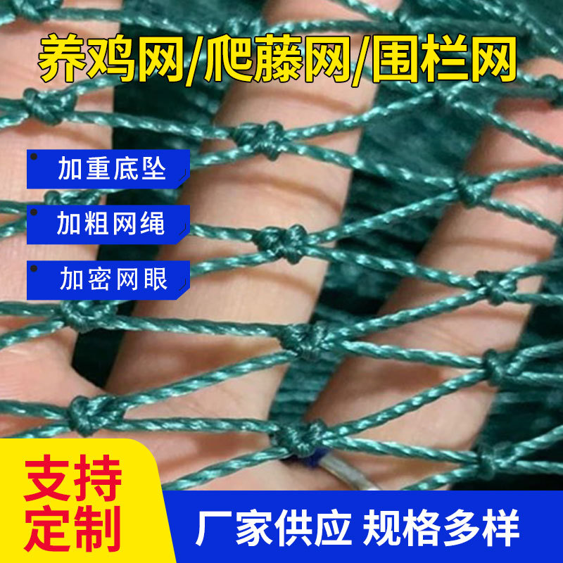 尼龙家禽养殖网养鸡网山鸡围栏网菜园护栏网拦鸡鸭鹅网防护隔离网
